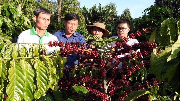 Điểm tựa cho hộ nghèo vượt khó ở huyện Ea H’Leo